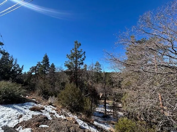 0 Bruin Trl, Fawnskin, CA 92333