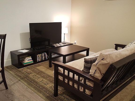 Living space pictured with a futon that folds out into full-size bed.