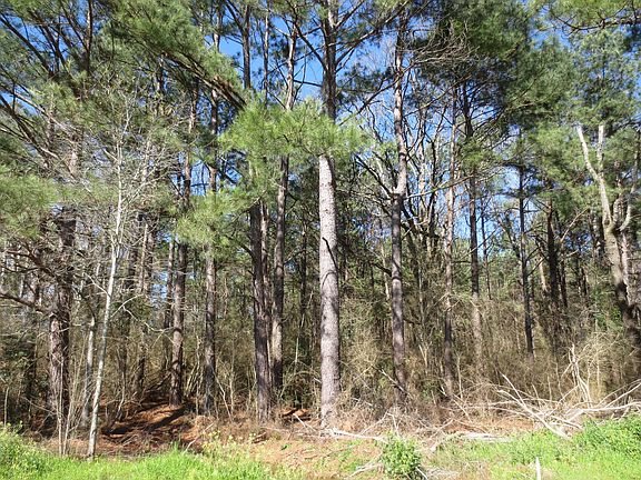3rd image of Richmond Rd Lot Wp01