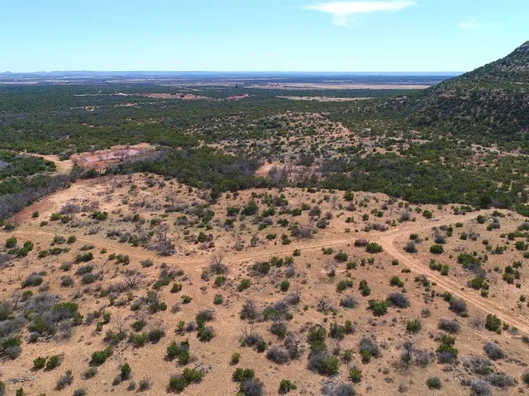 537 Nipple Peak Rd, Bronte, TX 76933