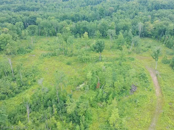 Vl Lakeside, Hale, MI 48739