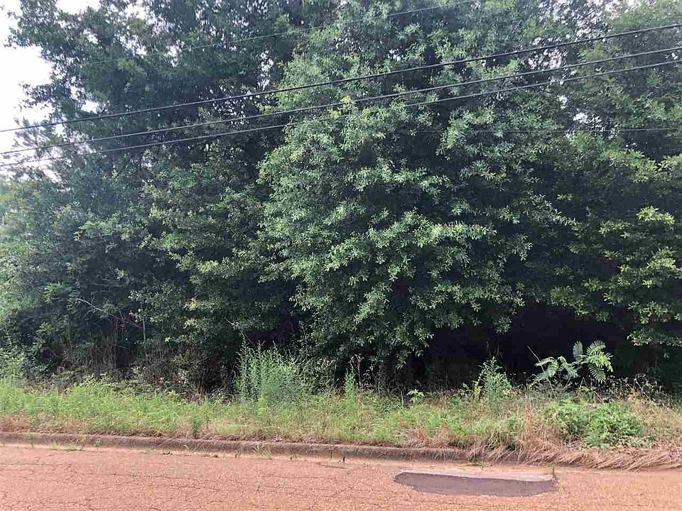 2nd image of S Pecan St