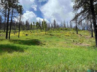 181 & 182 Consuelo, Rociada, NM 87742
