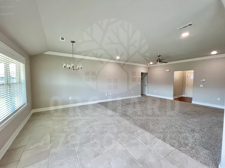 905 Jameson St — Photo 5