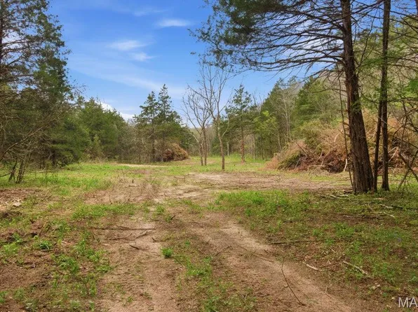 TRACT 3 W Highway 32, Licking, MO 65542