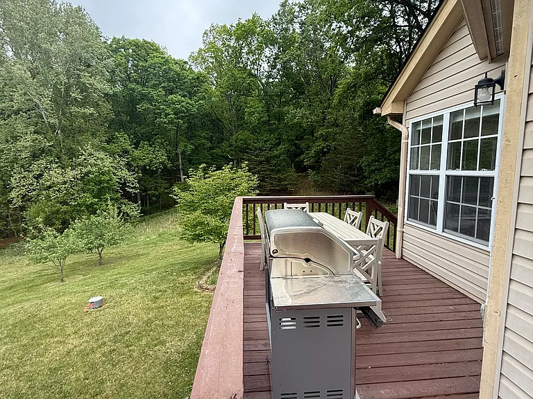 Back porch with new grill