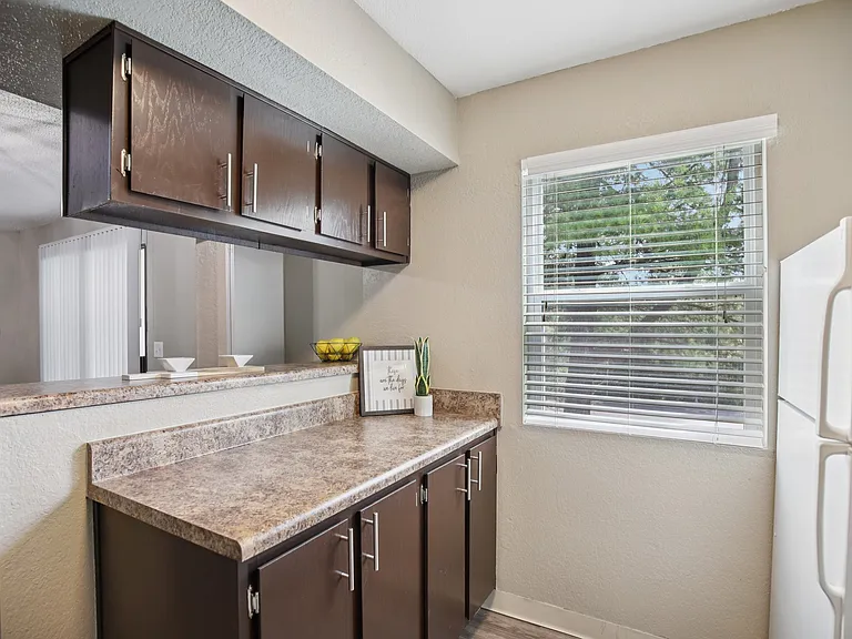 The Villages Apartment Home — Photo 78