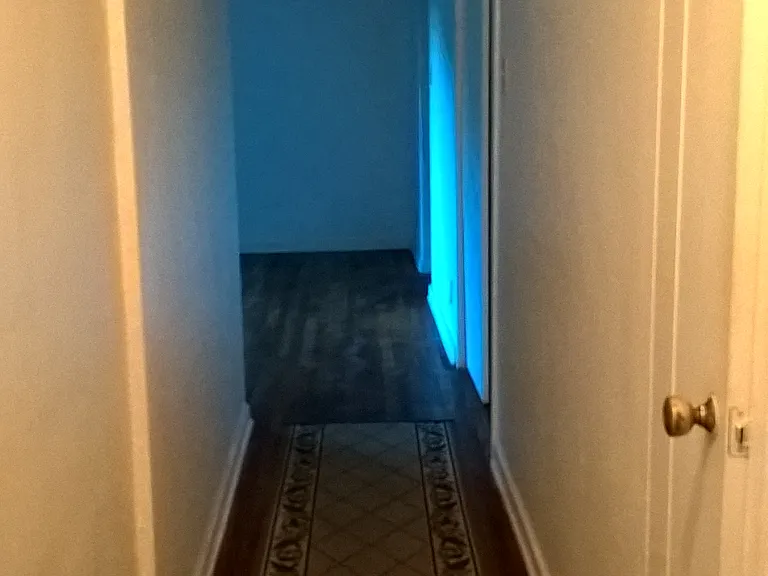 1000 Hartman St #5 — Photo 14