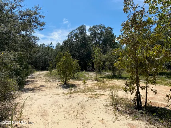 111 MORRIS LAKE Drive, Hawthorne, FL 32640