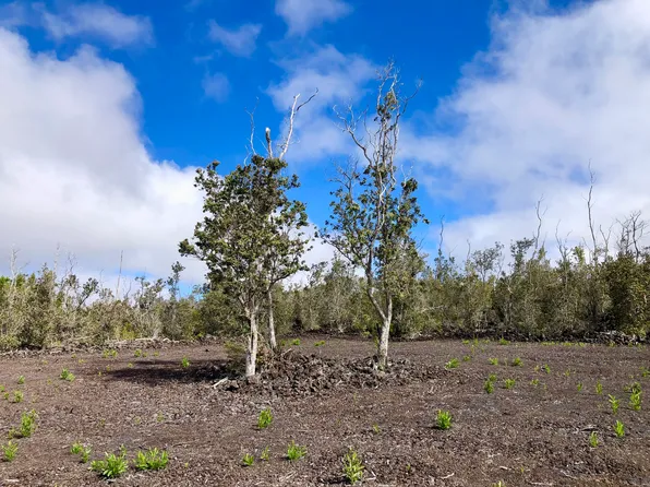 Paradise Pkwy Lot 10, Ocean View, HI 96737