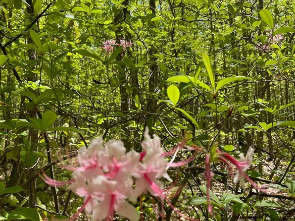 Shendon Glades Ln, Grottoes, VA 24441