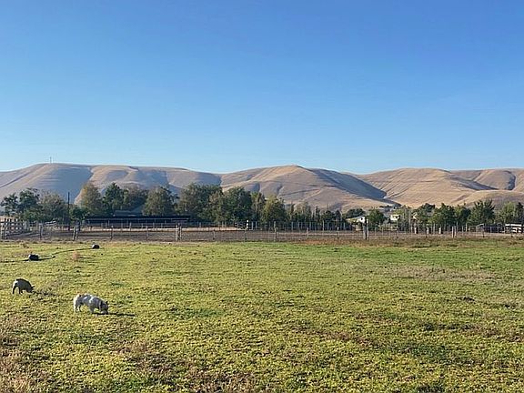 4th image of 1240 W Huntzinger Rd