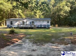 106 Cemetery Ln, Blenheim, SC 29516