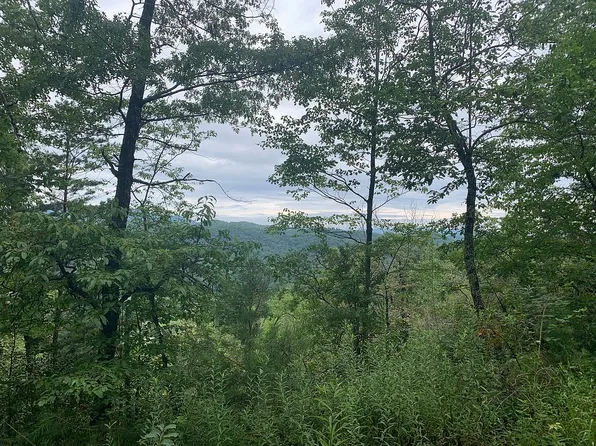 1335 Maltby Rd, Marble, NC 28905
