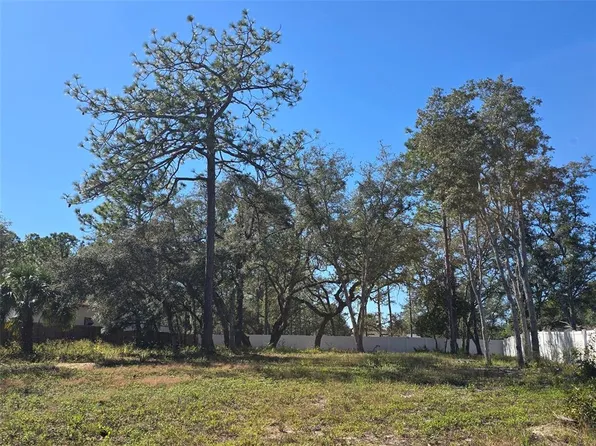 12437 Harris Hawk Rd Lot 16, Brooksville, FL 34614