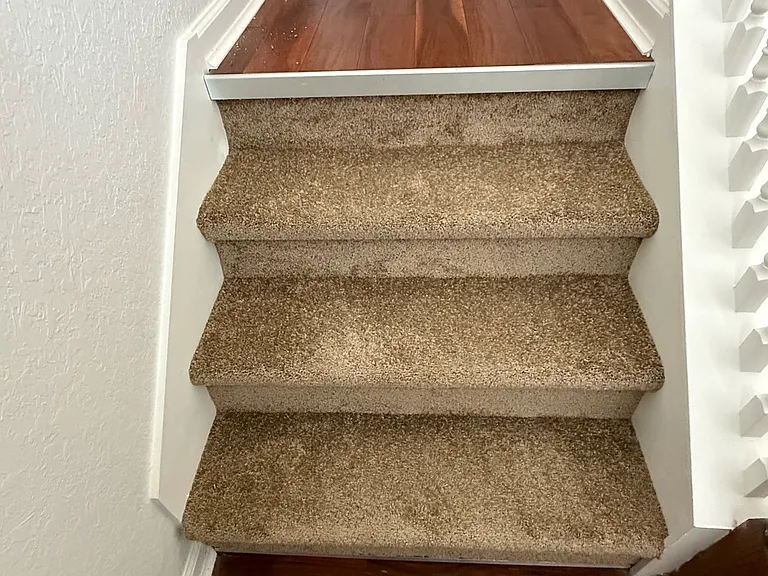 New carpet 2