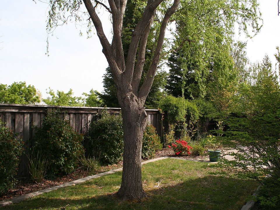 2nd image of 105 Flindell Way