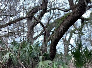 LOT 9 NW 45th Ter LOT 9, Chiefland, FL 32626