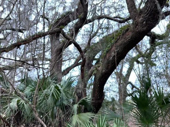 Lot 9 NW 45th Ter, Chiefland, FL 32626