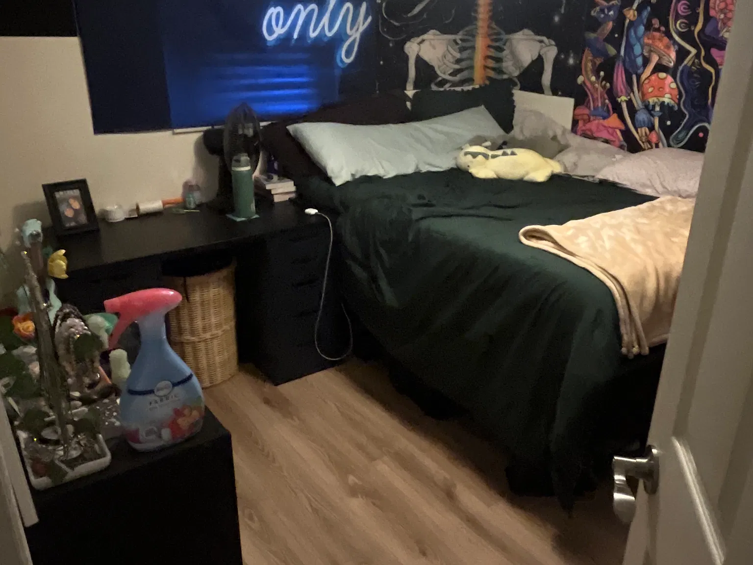 2 bed, 900 sqft, $2,000 — Photo 2
