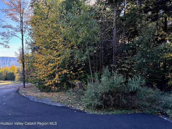 Tbd Hollow View Road, Windham, NY 12496