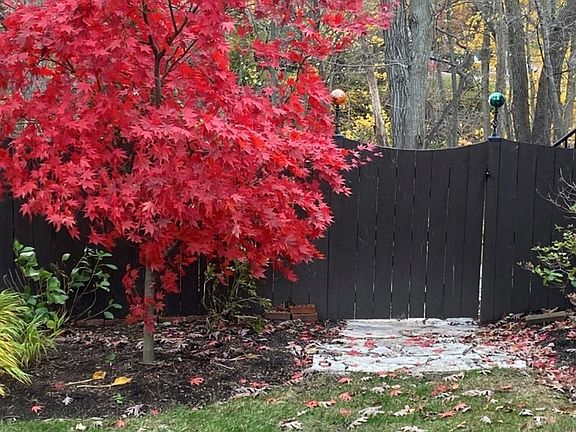 4th image of 724 Ridge Rd