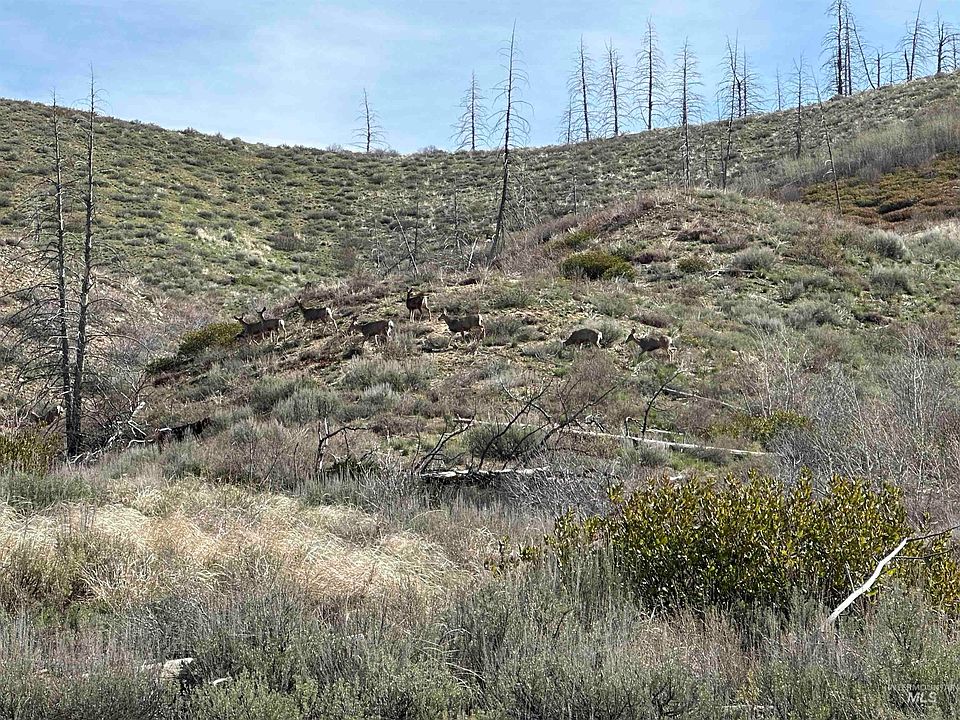 1st image of Tbd Lester Creek Rd