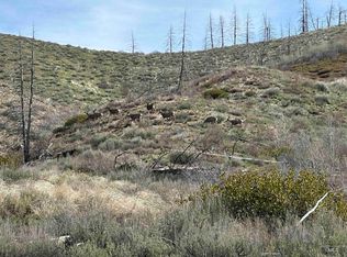 Tbd Lester Creek Rd, Pine, ID 83647