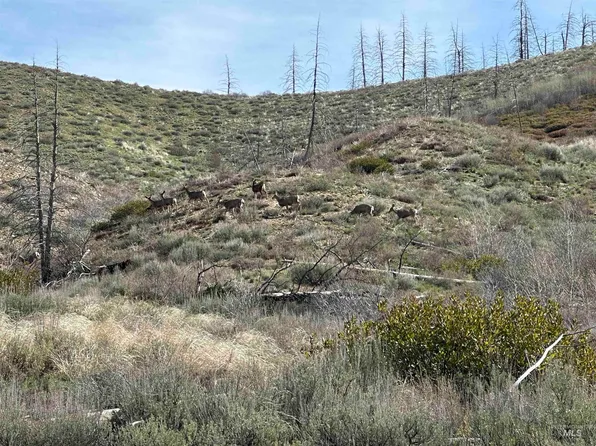 Tbd Lester Creek Rd, Pine, ID 83647