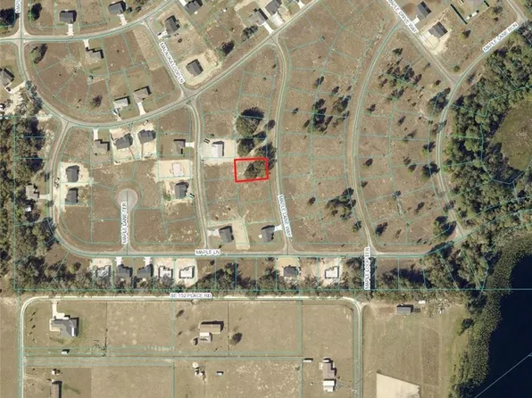 Maple Lane Way #6, Ocklawaha, FL 32179