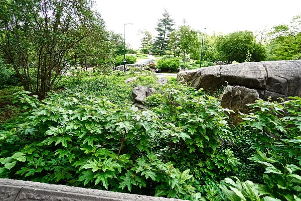 Rented by Bizzarro Agency | media 32