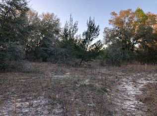 00 St. Peter Dr, Dunnellon, FL 34432