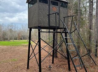 415 Zion Hill Church Rd, Silver Creek, MS 39663