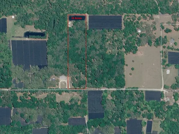 610 Burnsed Rd, Pierson, FL 32180