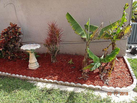 Side yard garden