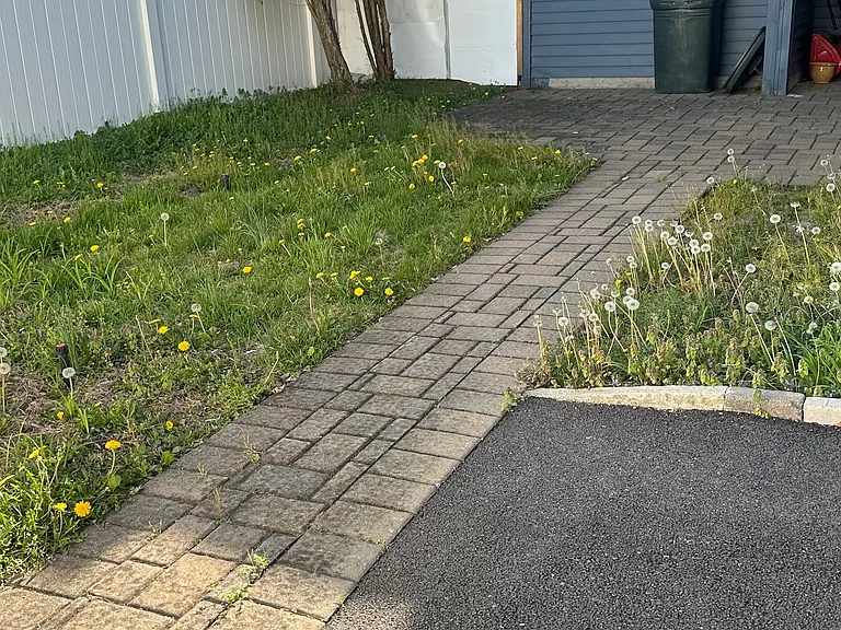 Bradley Ct — Photo 8