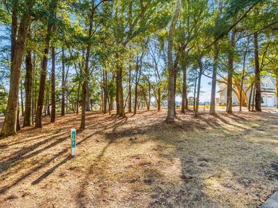 5102 Bucks Bluff Dr. Lot 781, North Myrtle Beach, SC, 29582
