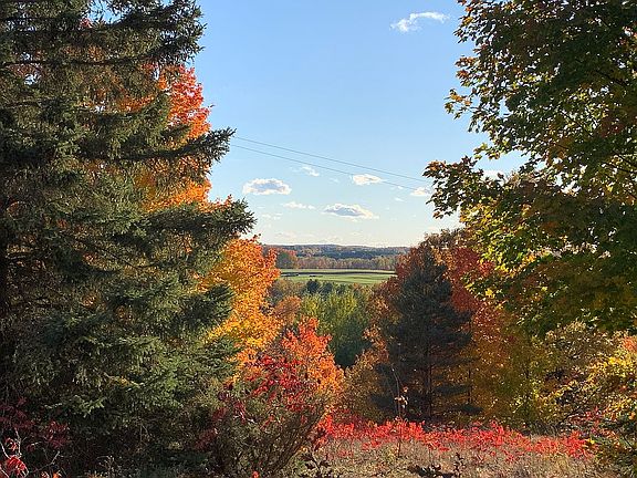 Beautiful Northern Michigan 