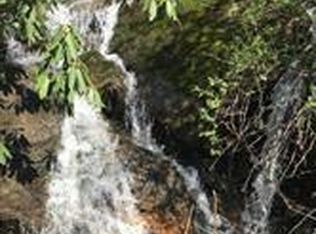 0 Raspberry Ln, Hot Springs, NC 28743