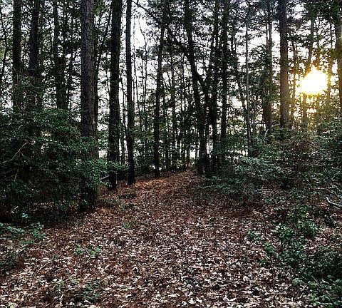 3rd image of 0 River Woods Dr