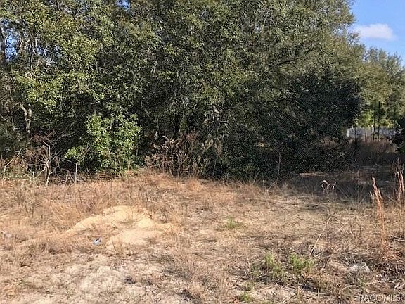5th image of 9005 N Mendoza Way