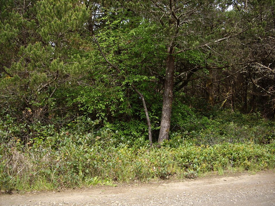 1st image of Geneva Ave