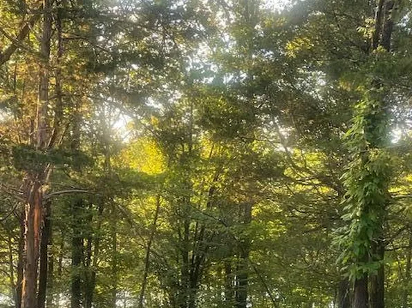 Buckeye Hills Rd, Falmouth, KY 41040