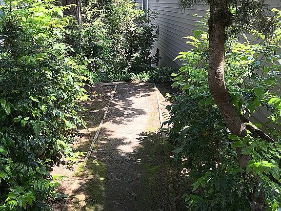 Path has led motion lights.