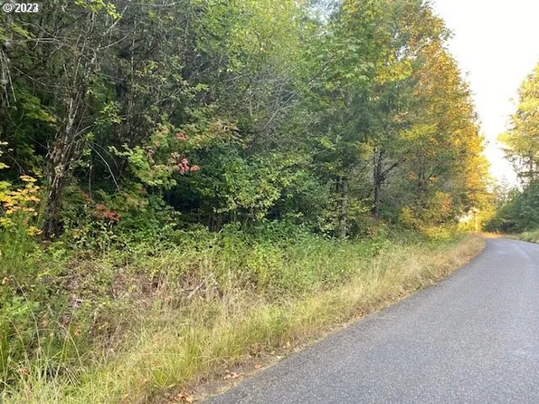 McGowan Creek Rd, Springfield, OR 97478