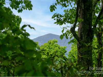 1111 Elm Tree Ln, Swannanoa, NC, 28778