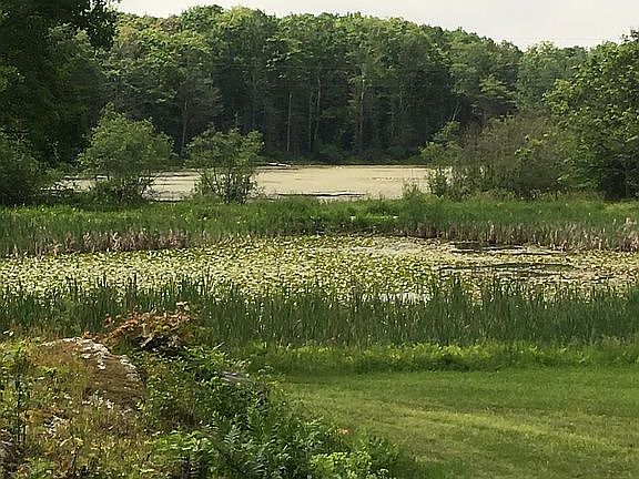 waterview of ponds