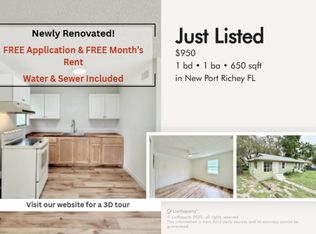 12005 Wanda Ave, New Pt Richey, FL 34654