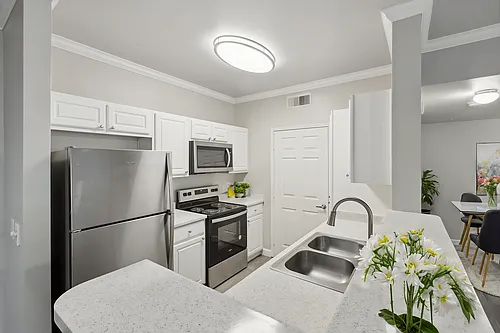 North Pointe Apartments Photo 1