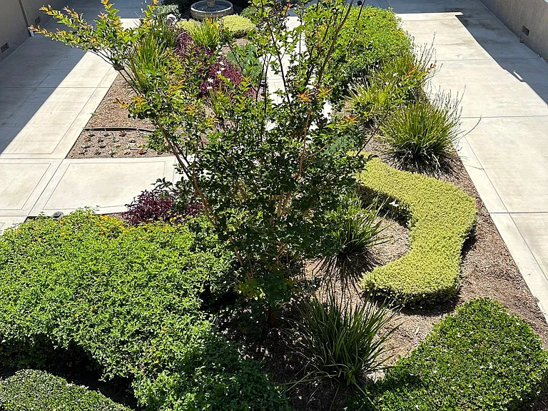 Trio Apartments — Photo 5